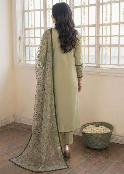 Georgette Embroidered Straight Suit Series