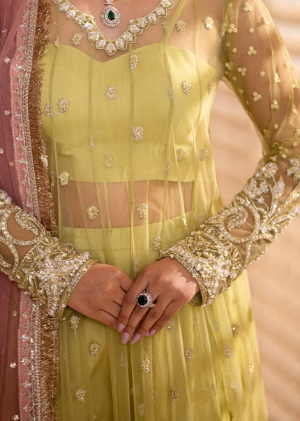 Zeemal Bhatti | Felicita - Lime