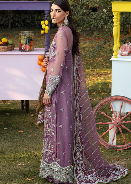 Vanya | Festive Collection - MF-07