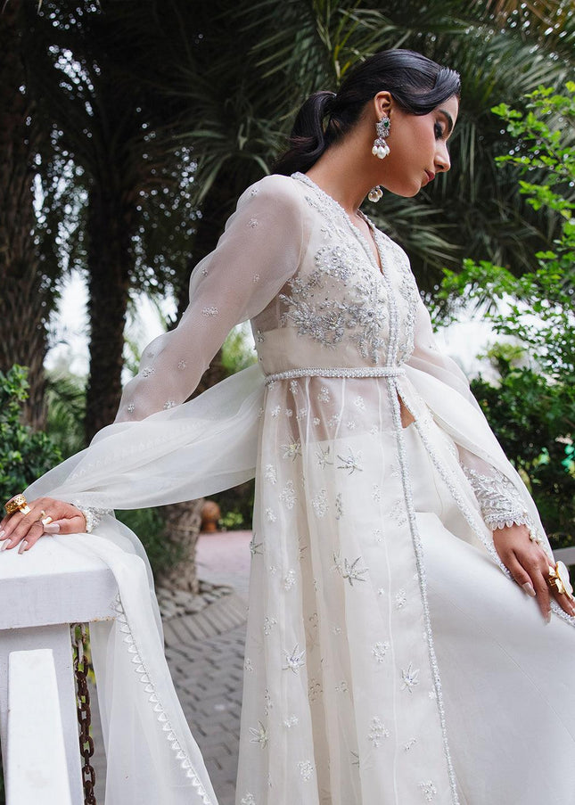 Amroz Atelier | Aerien - Ilana