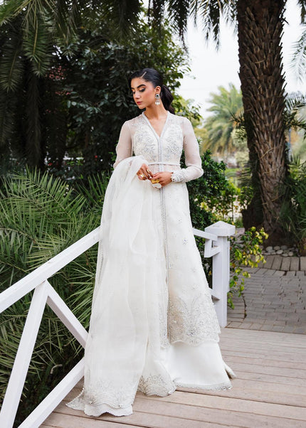 Amroz Atelier | Aerien - Ilana