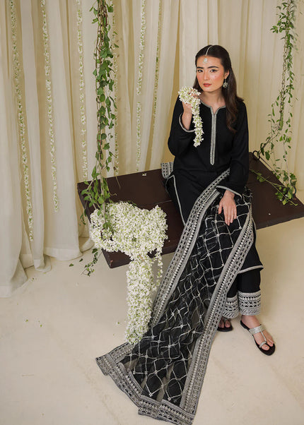 Pashma Khan | Chamak Dhamak - Chandni