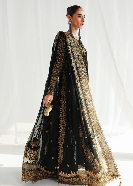 Qalamkar | Chiffon '26 - Waliya