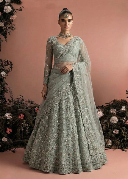 Net Embroidered Lehenga Choli Series