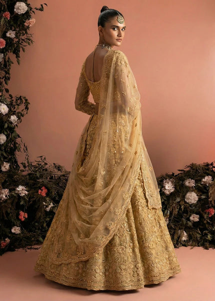 Net Embroidered Lehenga Choli Series
