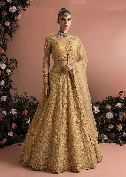 Net Embroidered Lehenga Choli Series