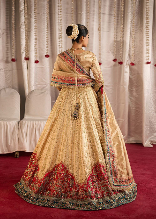Maria Osama Khan | Jhil Mil Wedding Festive - Danak