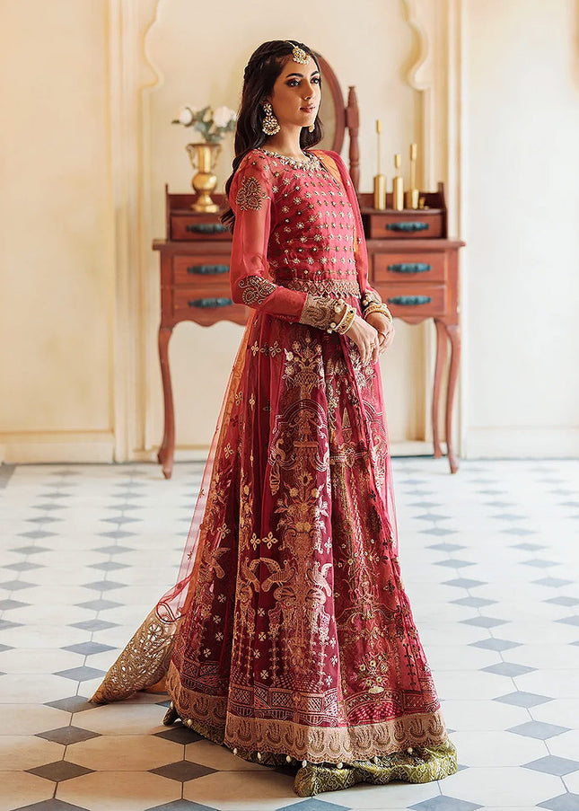 MIRHA - ANCHAL FESTIVE -  Aafreen