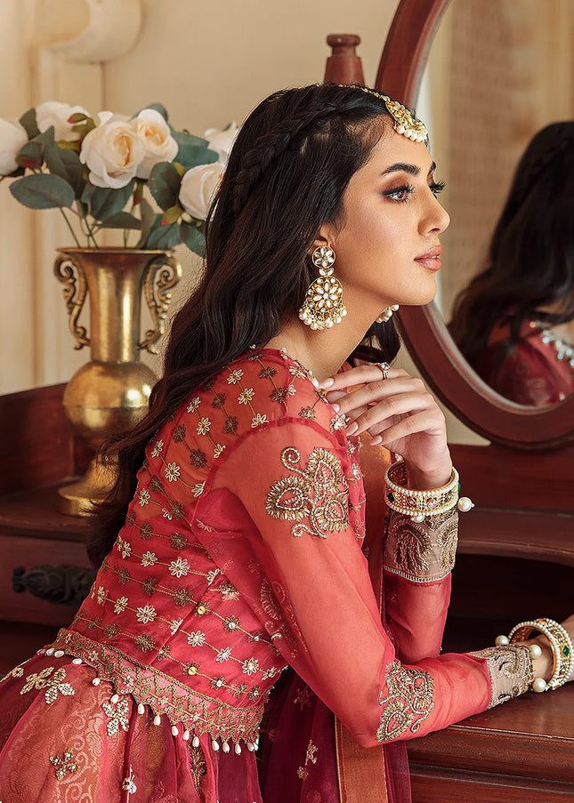 MIRHA - ANCHAL FESTIVE -  Aafreen