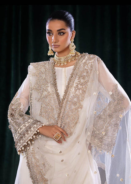 Crinkle Chiffon Hand Embroidered P-255