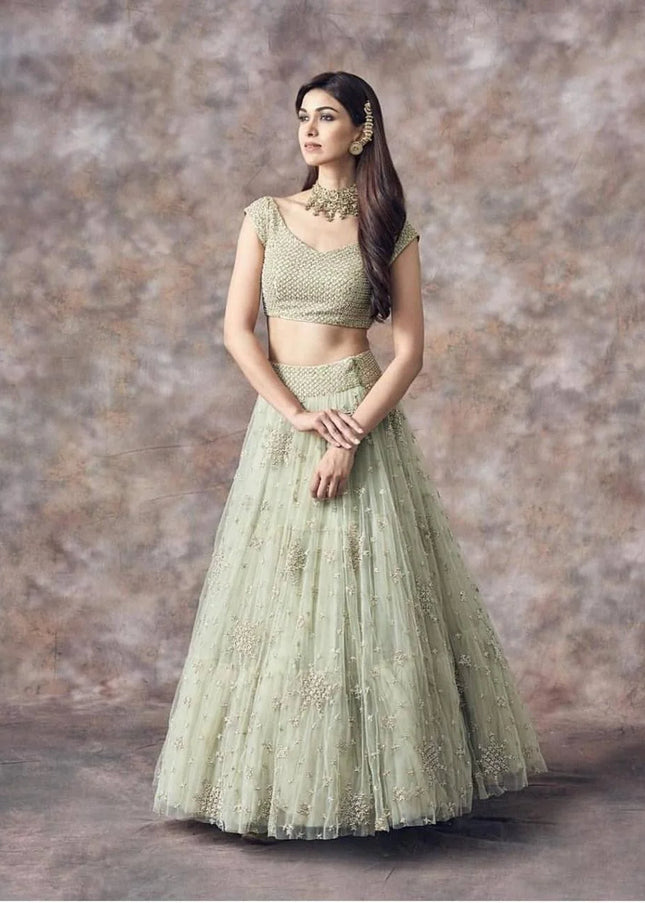 Sea Green Embroidered Lehenga Choli