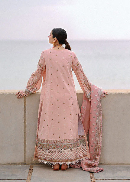 QALAMKAR -  Luxury Lawn 23 -  ANSHA