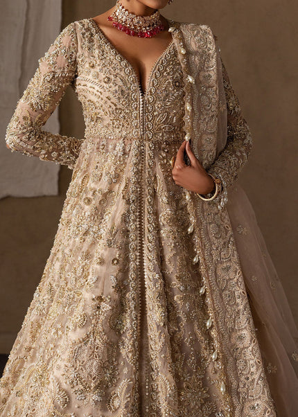 Afrozeh | The Brides Edit '26 - Catarine