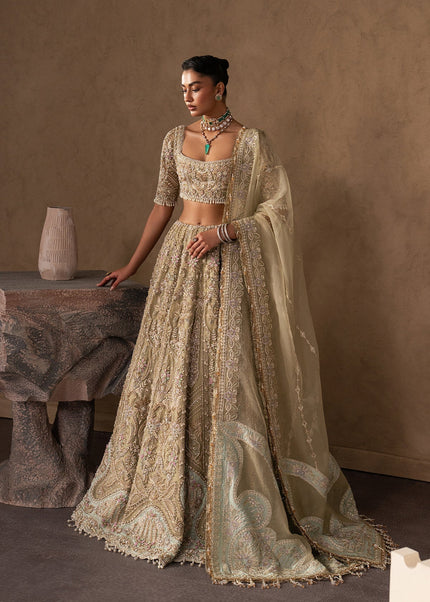 Afrozeh | The Brides Edit '26 - Evline