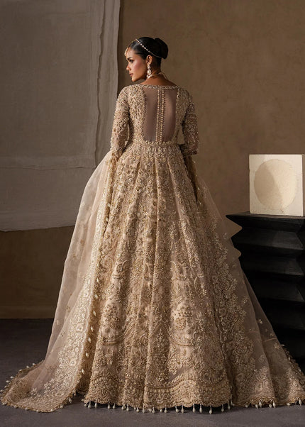 Afrozeh | The Brides Edit '26 - Catarine