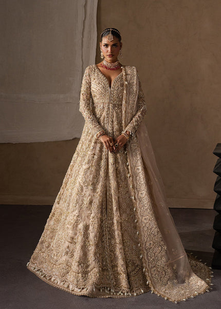 Afrozeh | The Brides Edit '26 - Catarine