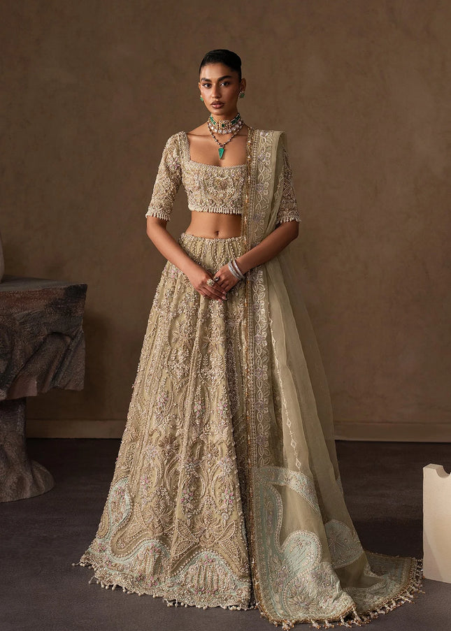 Afrozeh | The Brides Edit '26 - Evline