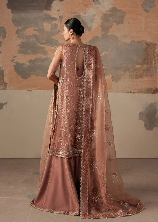 Ayzel | Solaris'25 - Rosara