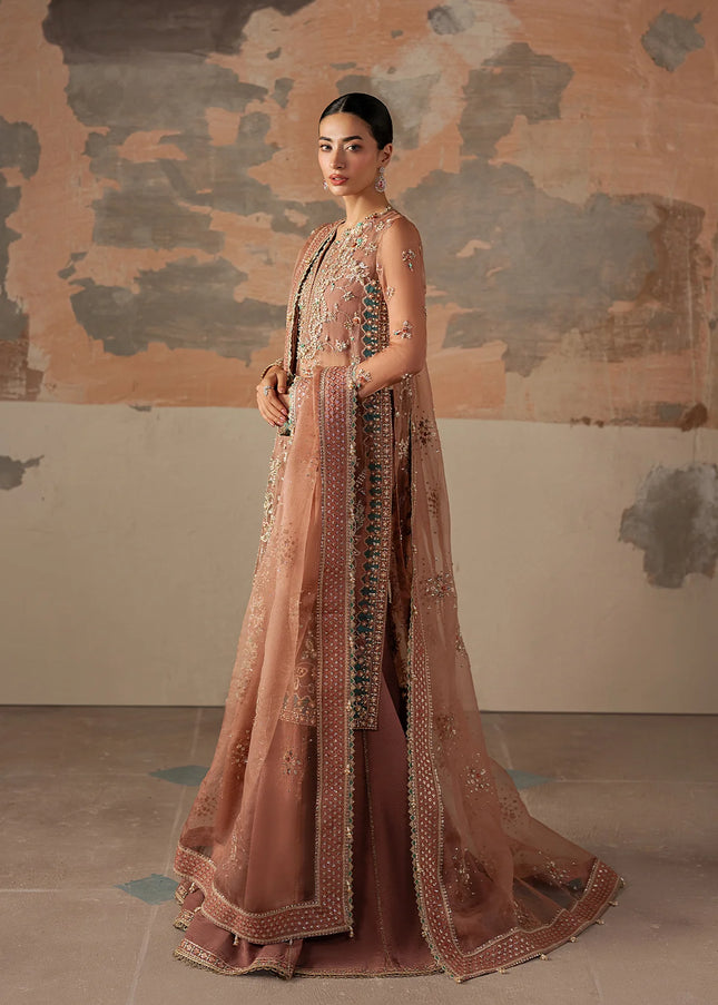 Ayzel | Solaris'25 - Rosara