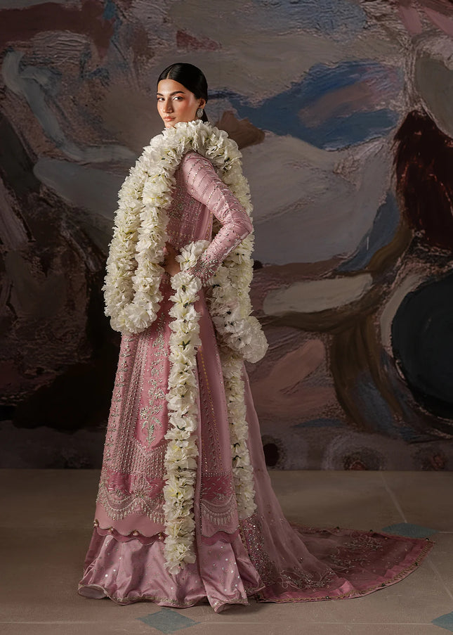 Ayzel | Solaris'25 - Burnora