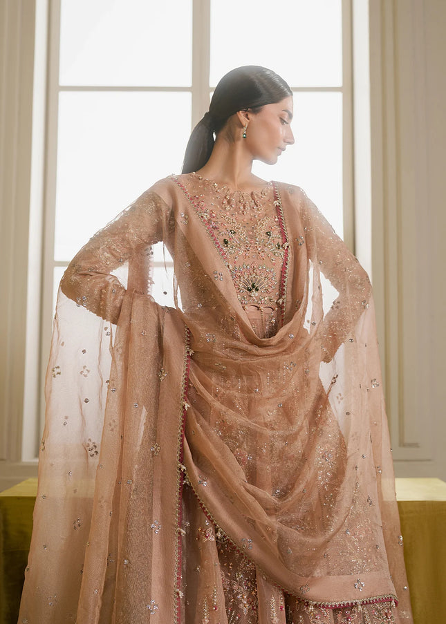 Ayzel | Solaris'25 - Auralis