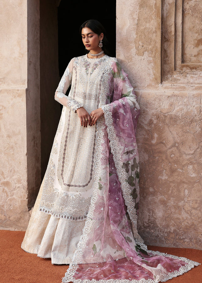 Ayzel | Kaashvi'25 - Meharvi