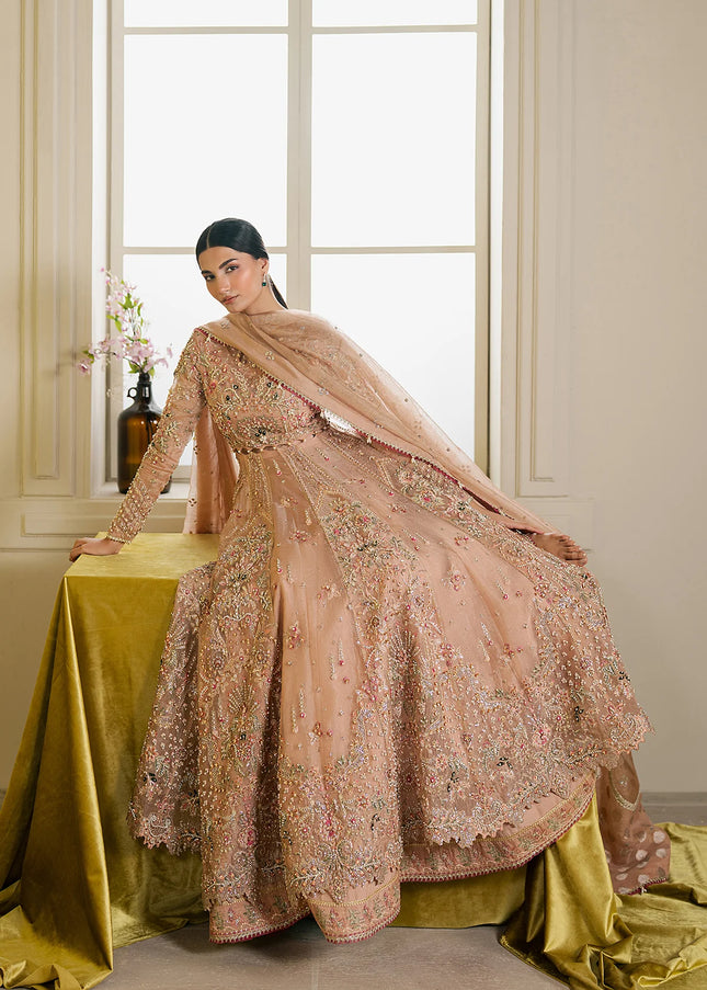 Ayzel | Solaris'25 - Auralis