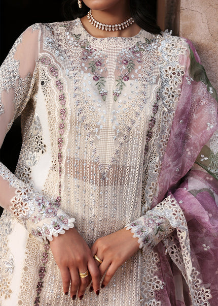 Ayzel | Kaashvi'25 - Meharvi