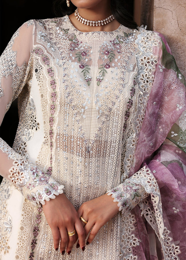 Ayzel | Kaashvi'25 - Meharvi