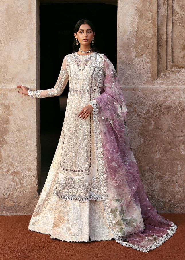 Ayzel | Kaashvi'25 - Meharvi