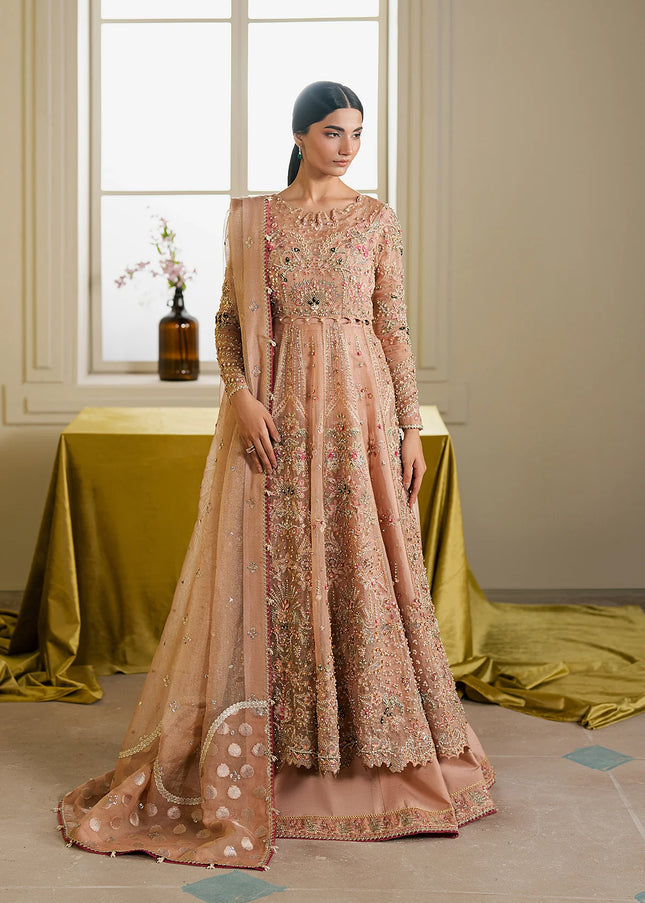 Ayzel | Solaris'25 - Auralis