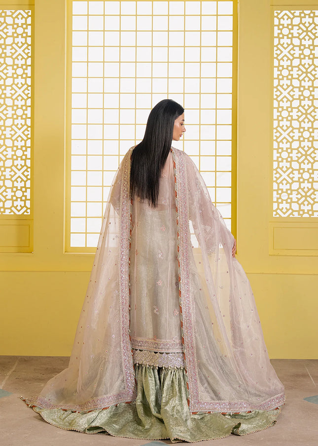 Ayzel | Solaris'25 - Solyn