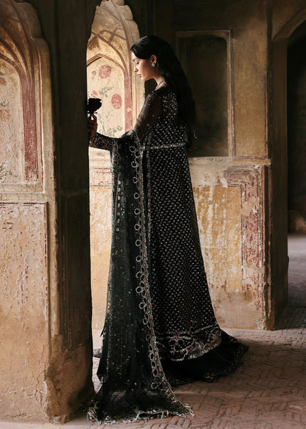 Ayzel | Kaashvi'25 - Ravina