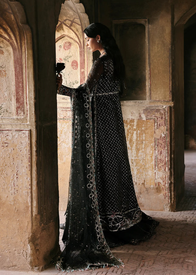 Ayzel | Kaashvi'25 - Ravina