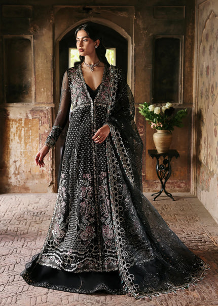 Ayzel | Kaashvi'25 - Ravina