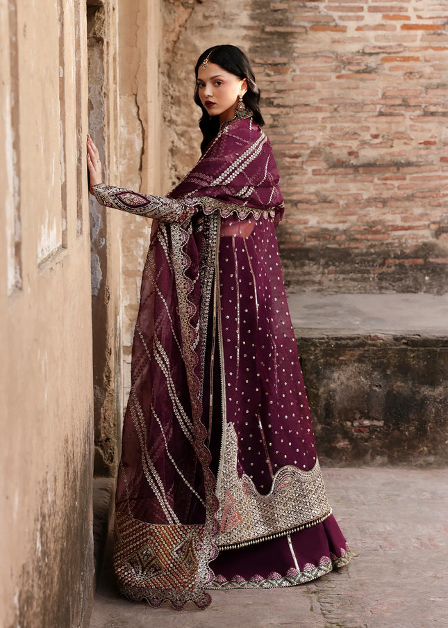 Ayzel | Kaashvi'25 - Taraani