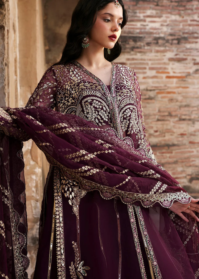 Ayzel | Kaashvi'25 - Taraani