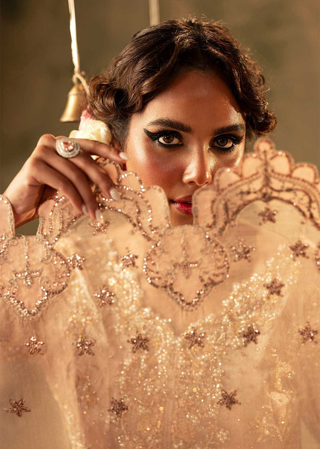 Sillhouete | Meeras - Nazam