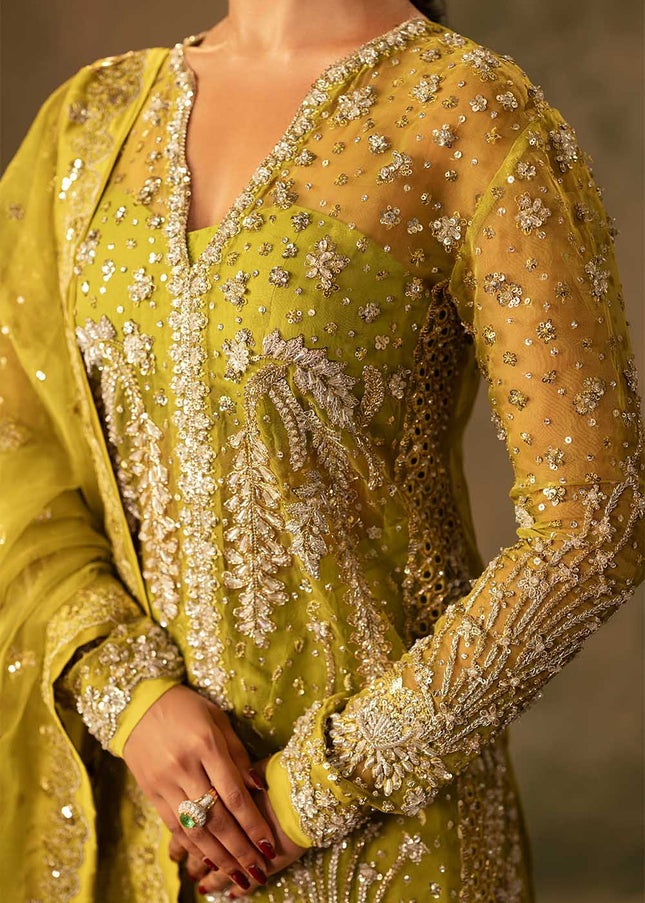 Sillhouete | Meeras - Virsa